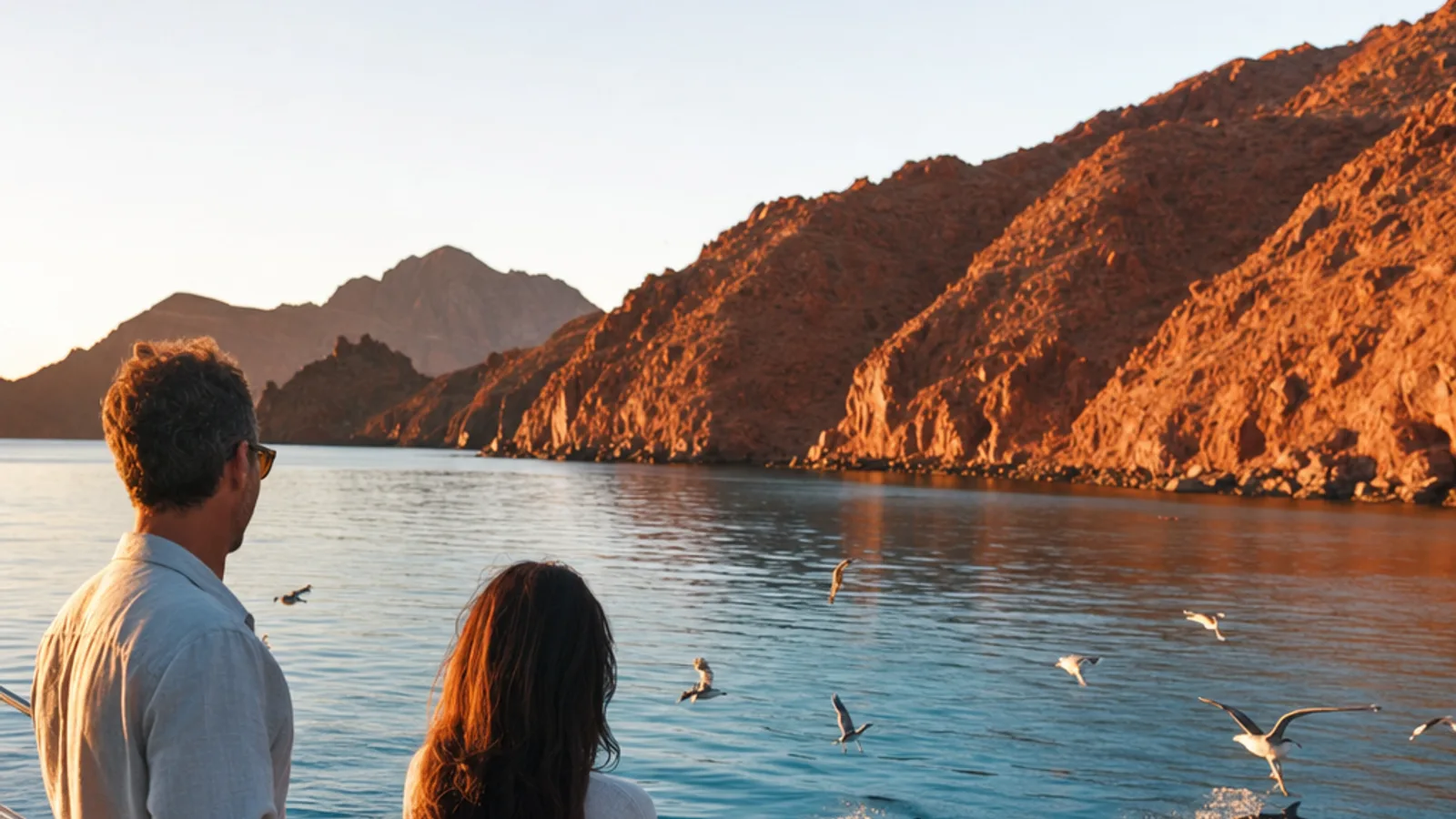 Sea of Cortez Yacht Charter Winter 2026: Routes, Wildlife & Best Season Guide